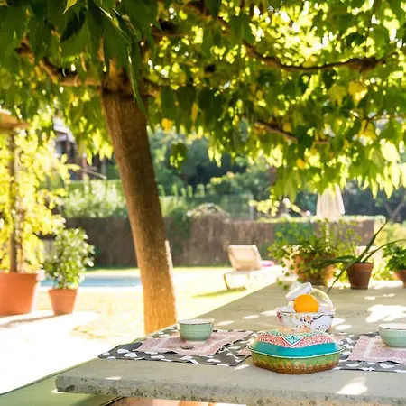 Casa Orquidea * Льорет-де-Мар